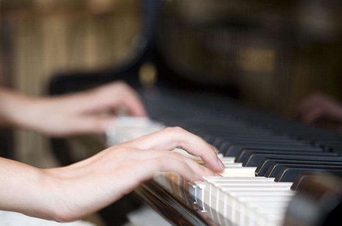 招生1對1免費預約鋼琴試聽課