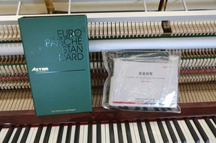 德國阿斯特鋼琴at123i技術(shù)評(píng)測